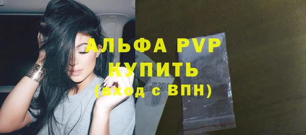 дживик Абаза