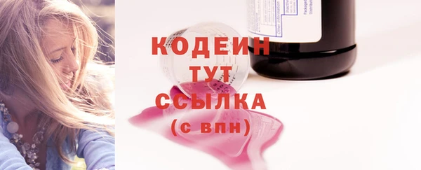 дживик Абаза